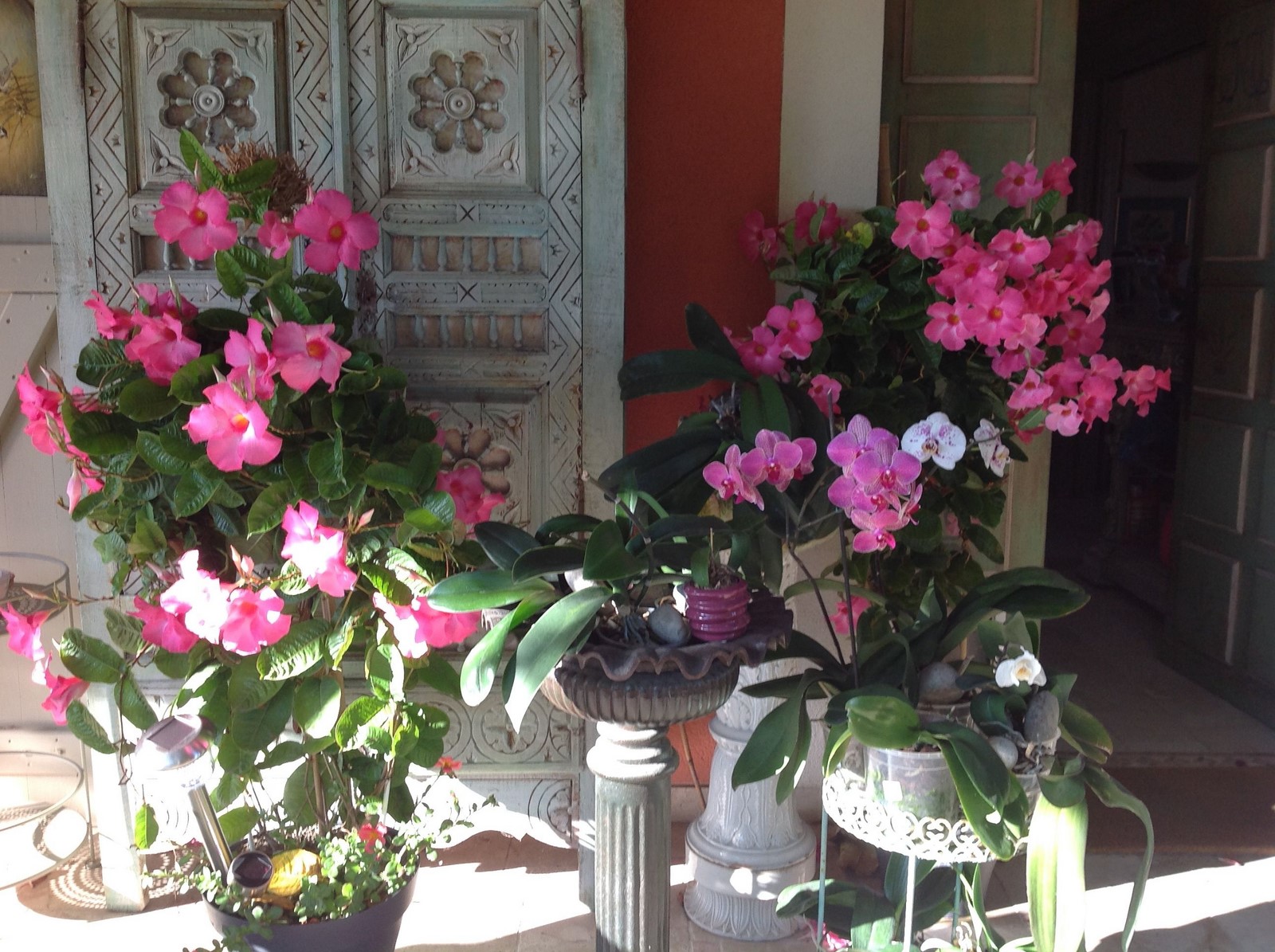 Composition florale à La Chamade